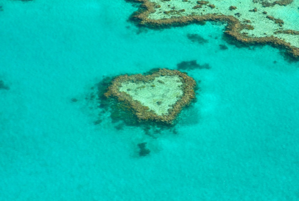 The Great Barrier Reef, Nursing Careers Australia.