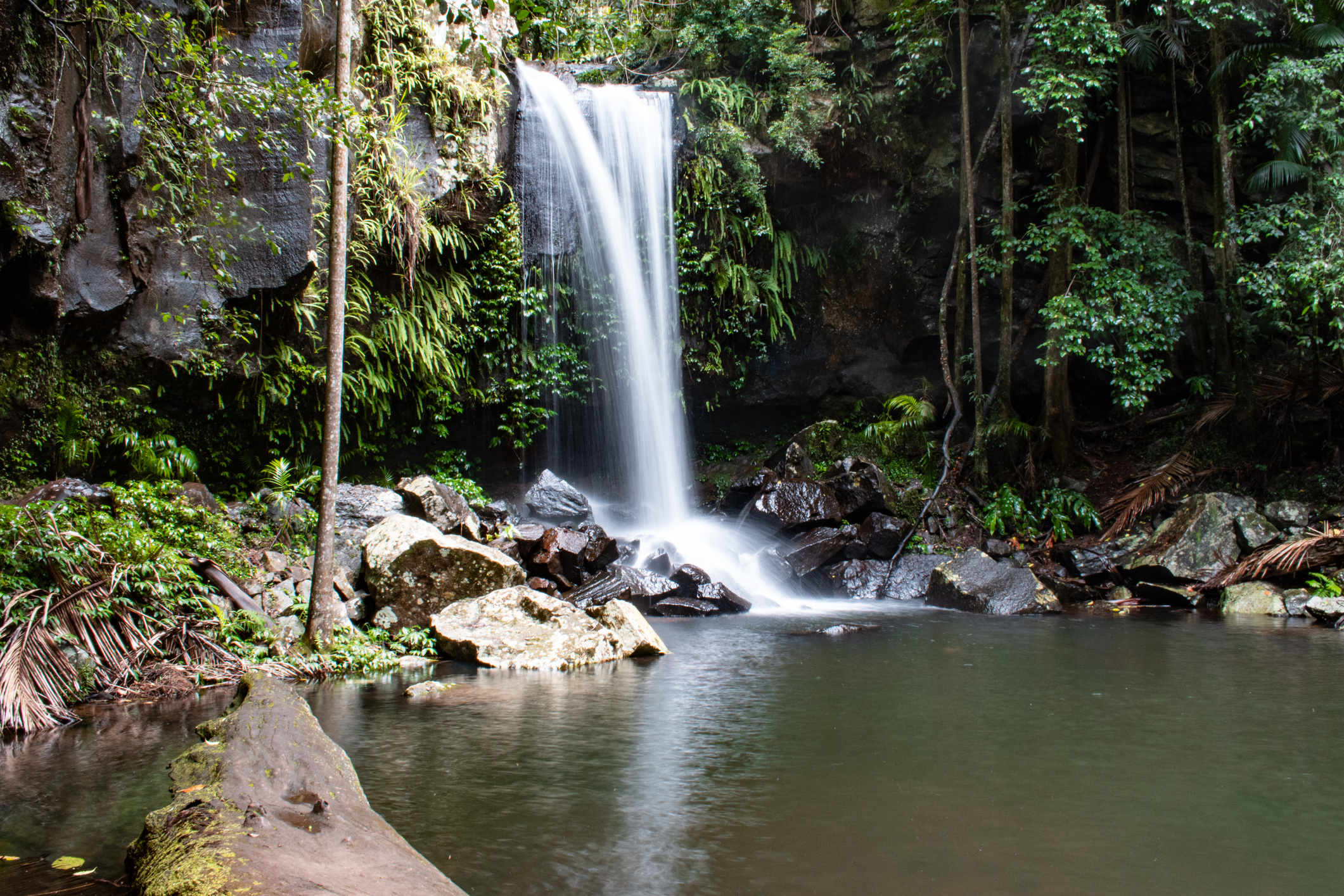 Waterfall, gold coast