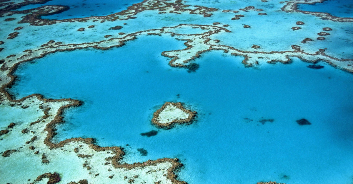 The Great Barrier Reef, Australia, Nursing, Recruitment, Bundaberg